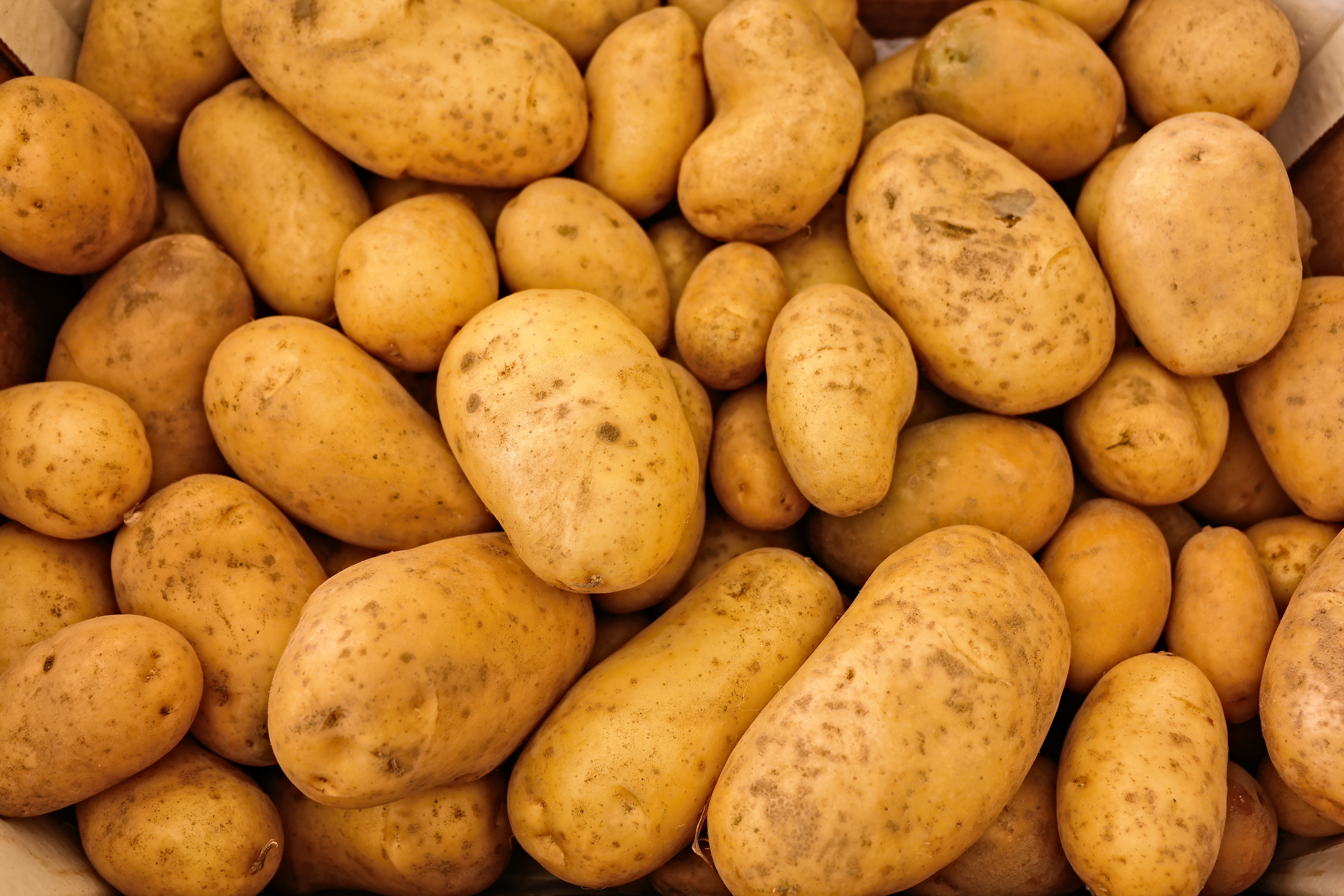 potatoes-411975.jpg